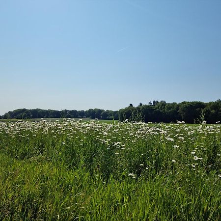 Logeren Bij Sabine En Jw Apartamento Beekbergen Exterior foto