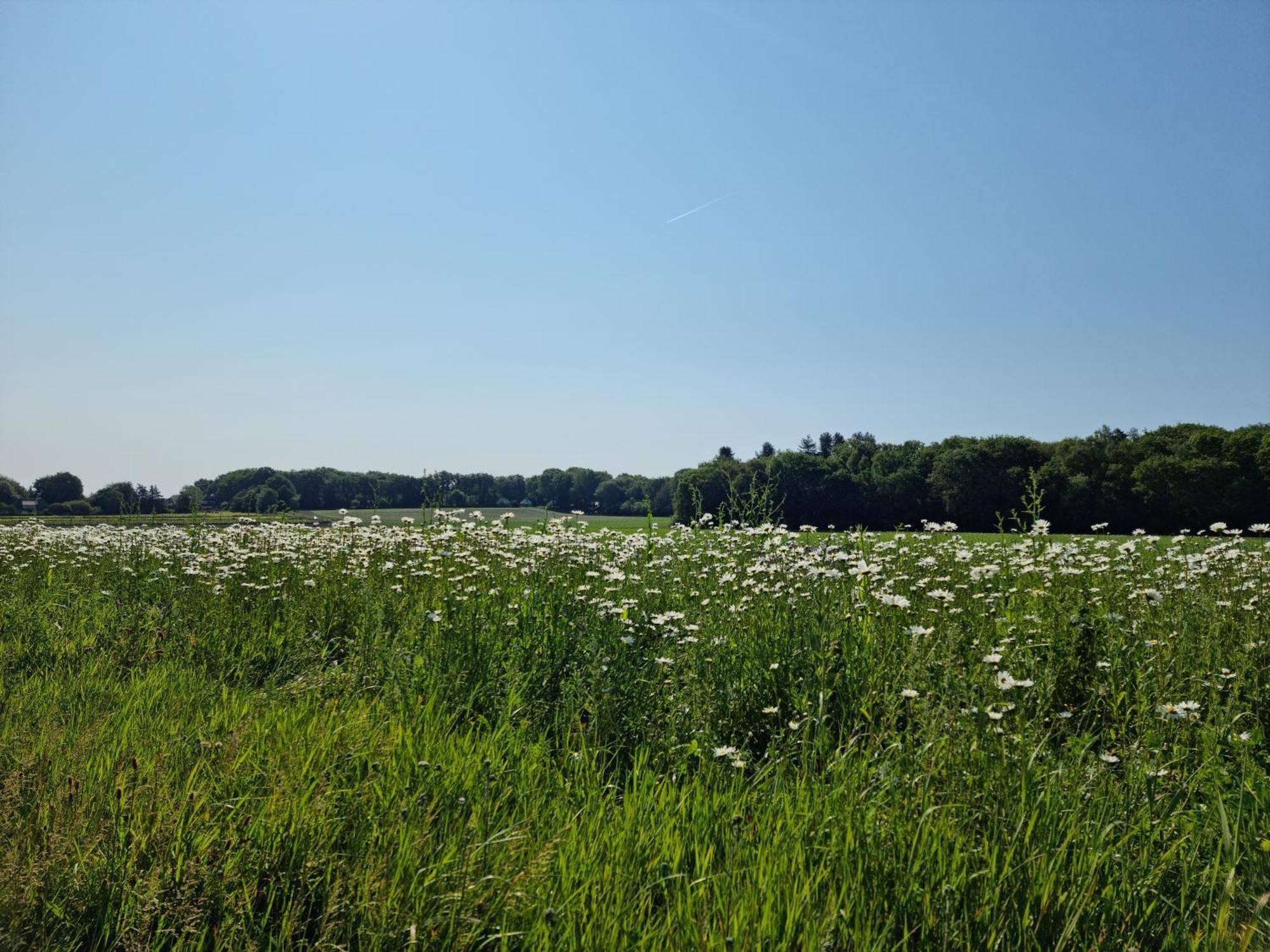 Logeren Bij Sabine En Jw Apartamento Beekbergen Exterior foto